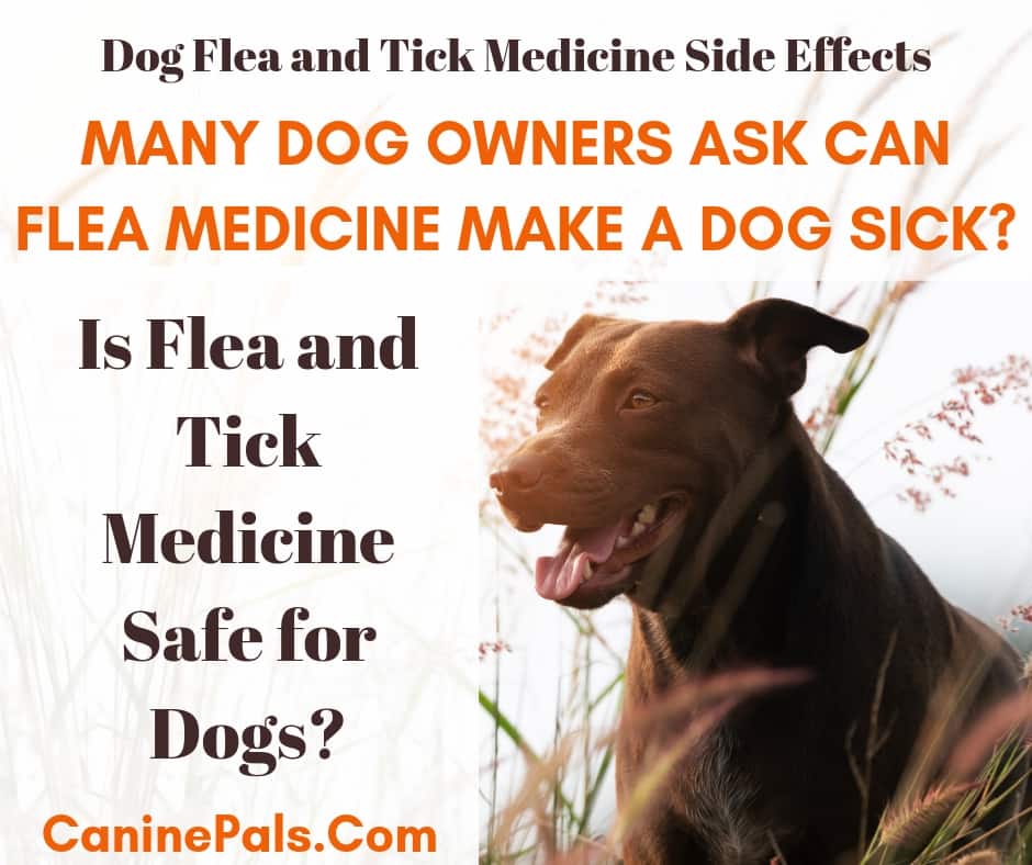 Side effects of on sale flea and tick medicine