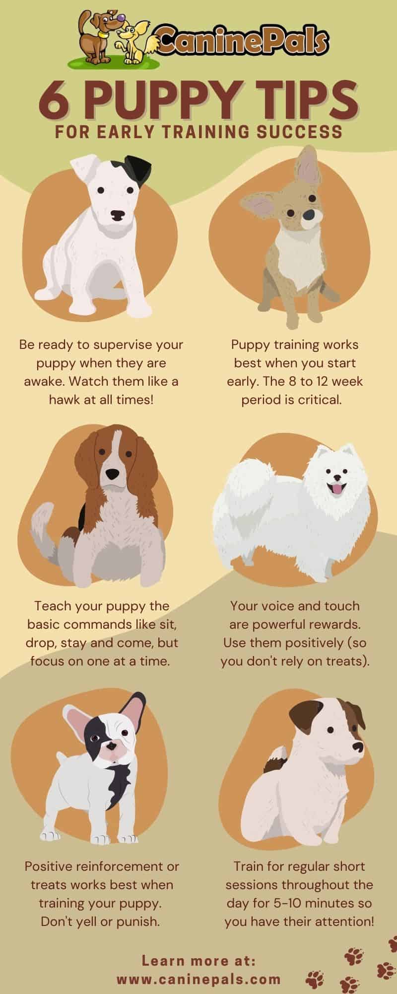 Puppy Training Tips