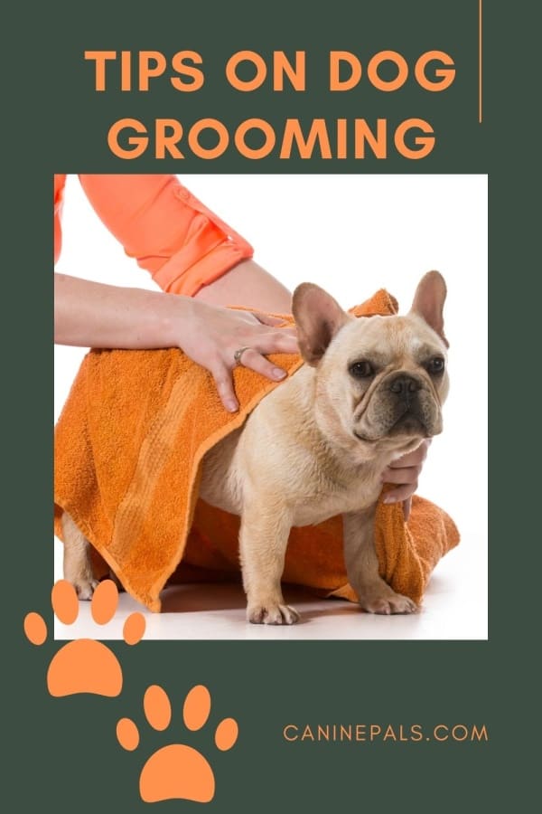 Tips on Dog Grooming