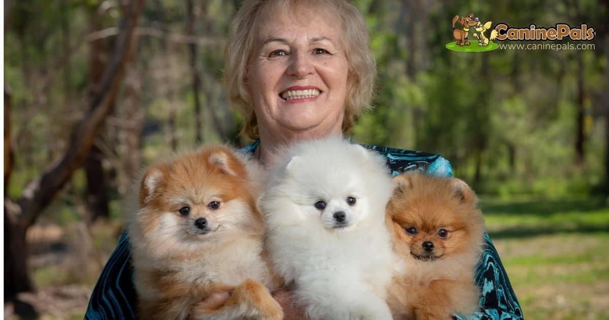 Denise Leo and Pomeranians