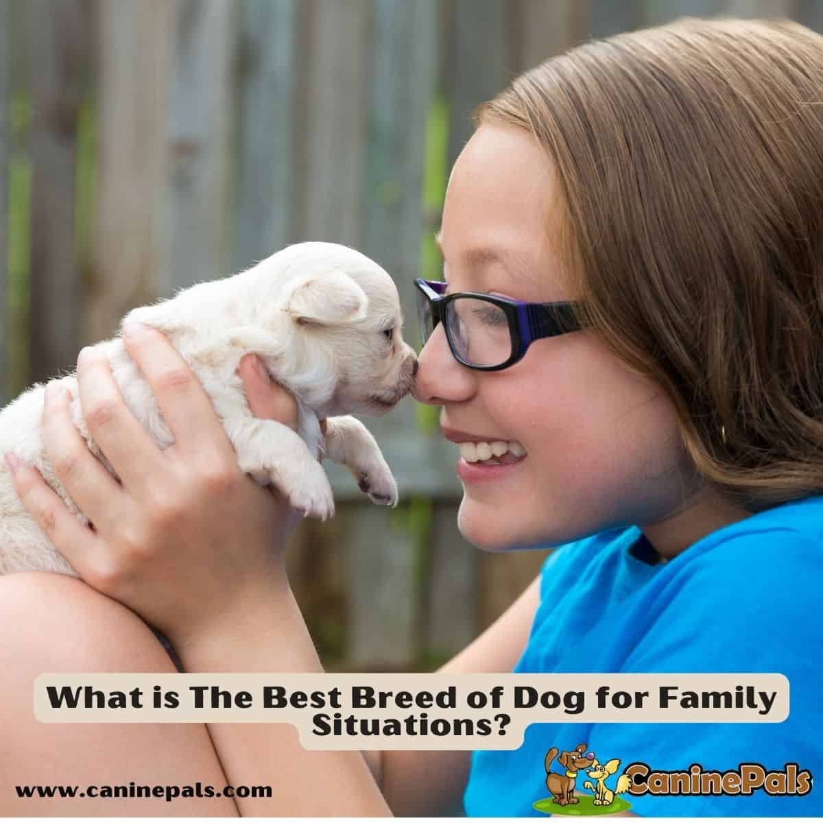 What is The Best Breed of Dog for Family Situations?
