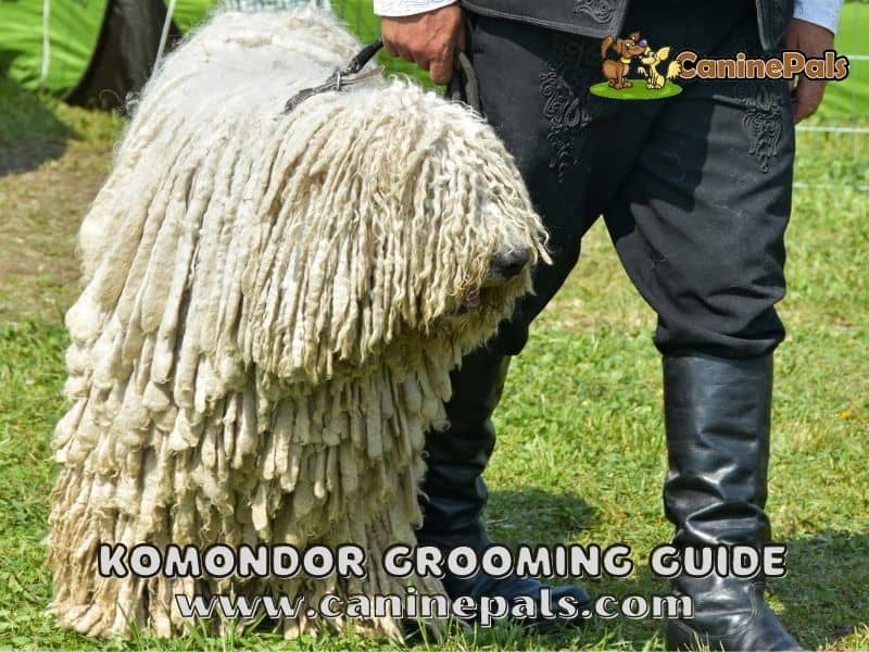 Komondor Grooming