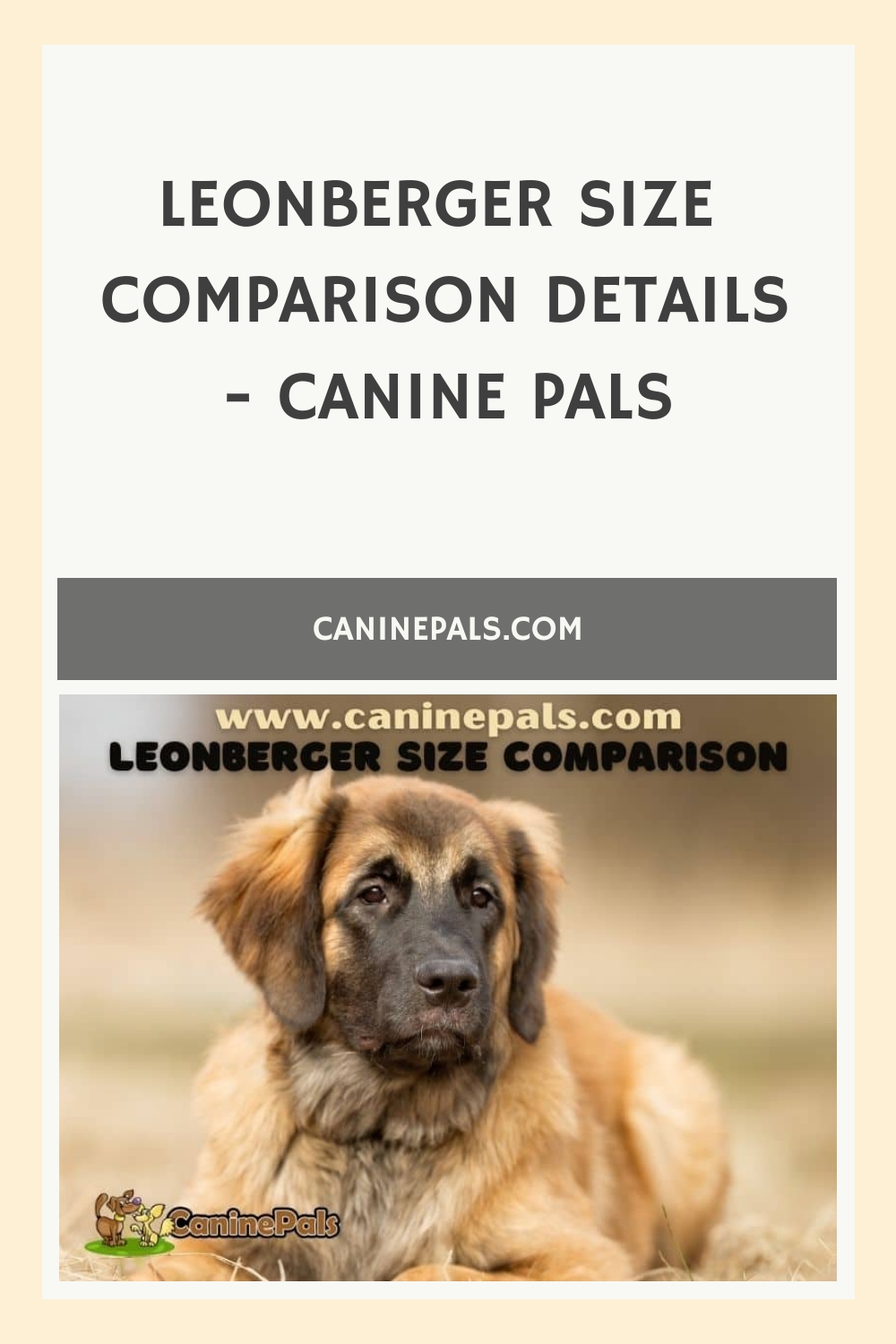 Leonberger Size Comparison Details