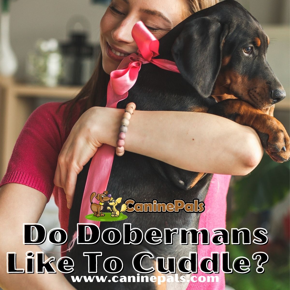 Do Dobermans Like To Cuddle?