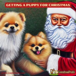 Getting a Puppy for Christmas