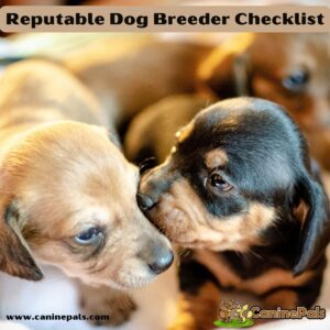 Reputable Breeder Checklist