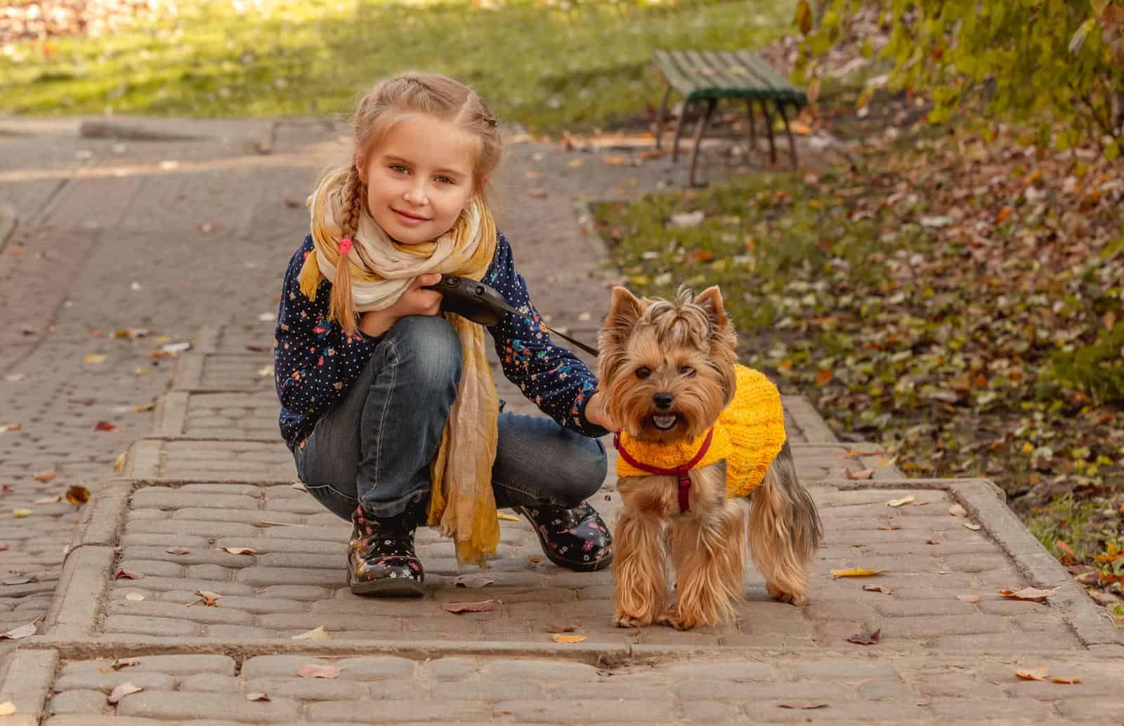 Yorkshire terrier puppy and little girl