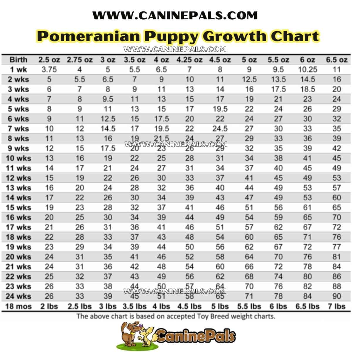 Pomeranian Growth Chart