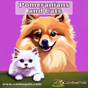 Pomeranians and Cats