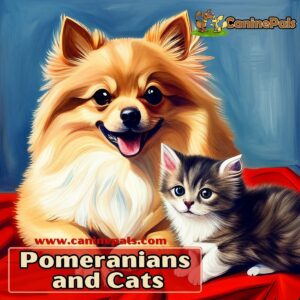 Pomeranians and Cats